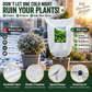 Plant Frost Protection Cover – Breathable Reusable Cover for Shrubs, Pots & Young Trees