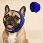 🐶Waterproof Dog Hoodie – Calming fit & weather‑ready ✨
