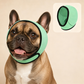 🐶Waterproof Dog Hoodie – Calming fit & weather‑ready ✨