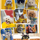 🐈Cute Dew Head Shape Cat Bag - Pets Carrier Bag👜