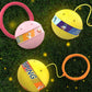 📢📢50% OFF !! ⏰Glowing Bouncing Ball