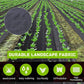 🌿 50% OFF NOW! ⛏️ Weed Control Fabric – Blocks sunlight, breathable & durable – Perfect for garden beds & pathways – reduces weeding effort 🌱✨