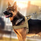 ⏳🔥LIMITED-TIME 50% OFF! ⏰🛡️ Heavy-Duty Tactical Dog Harness – No-pull & no-choke 🐕✨