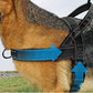 ⏳🔥LIMITED-TIME 50% OFF! ⏰🛡️ Heavy-Duty Tactical Dog Harness – No-pull & no-choke 🐕✨