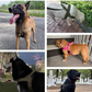 ⏳🔥LIMITED-TIME 50% OFF! ⏰🛡️ Heavy-Duty Tactical Dog Harness – No-pull & no-choke 🐕✨