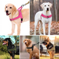 ⏳🔥LIMITED-TIME 50% OFF! ⏰🛡️ Heavy-Duty Tactical Dog Harness – No-pull & no-choke 🐕✨