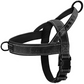 ⏳🔥LIMITED-TIME 50% OFF! ⏰🛡️ Heavy-Duty Tactical Dog Harness – No-pull & no-choke 🐕✨