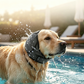 🐶Waterproof Dog Hoodie – Calming fit & weather‑ready ✨