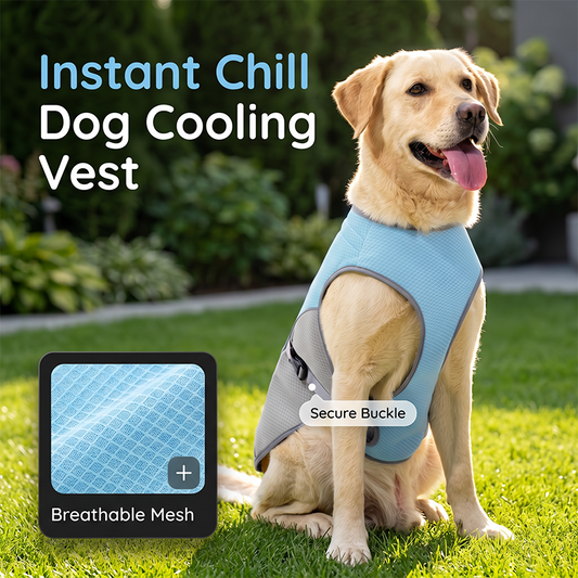 Dog Cooling Vest Harness for Summer