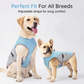 Dog Cooling Vest Harness for Summer