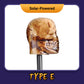 Halloween Pumpkin Garden Stake Solar Light