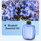 🌿Automatic Aromatherapy Diffuser