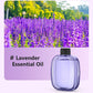 🌿Automatic Aromatherapy Diffuser