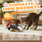 Electric Plush Cat Teaser Toy with Sounds