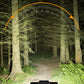 Rechargeable 28-LED Bicycle Headlight with Horn