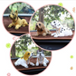 Cute Dog Bobblehead Car Dashboard Decoration