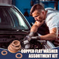 🔧Copper Flat Washer Assortment Kit