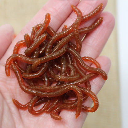 🎣Simulation Earthworm Soft Fishing Lures Shrimp Scented Artificial Worm Baits for Freshwater and Saltwater