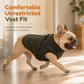 🐕Warm Winter Dog Coat with Reflective Strips and Harness for Small and Medium Dogs
