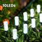 ⏳Time-Limited Special☀️Solar Powered Pathway Stake Light🌿